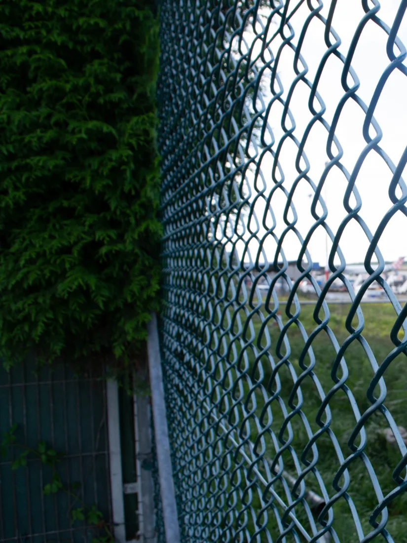 zdjęcie - Ogrodzenia z siatki